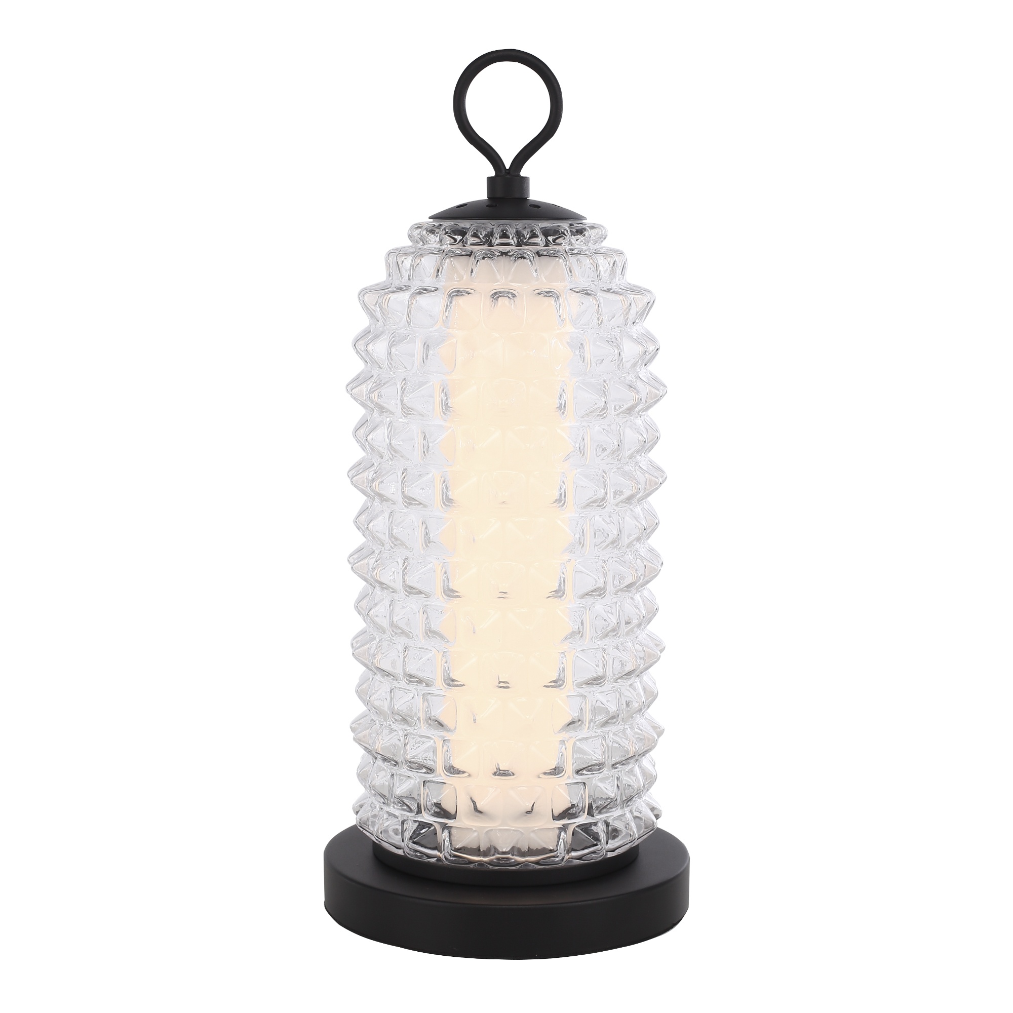 Настольный светильник ST Luce Saguaro SL6144.404.01